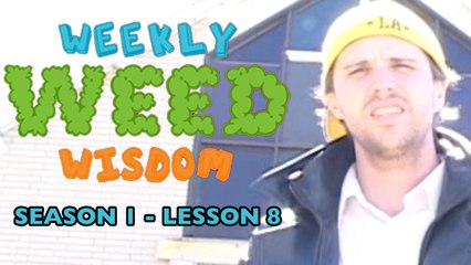 WEEKLY WEED WISDOM LESSON #8: Was Jesus a Puffer?