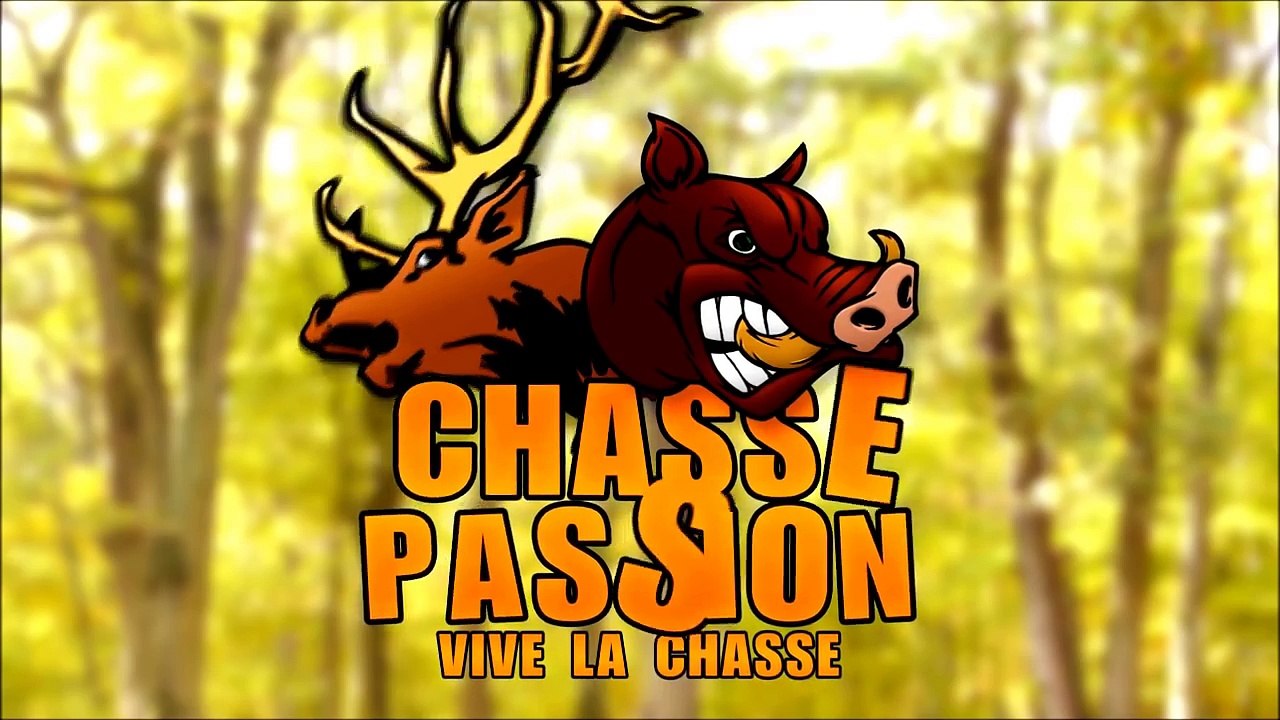 Chasse aux pigeons - Une grosse journée !!