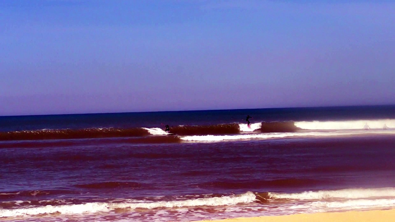 FREE SURF