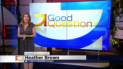 Good Question- What Is WikiLeaks-