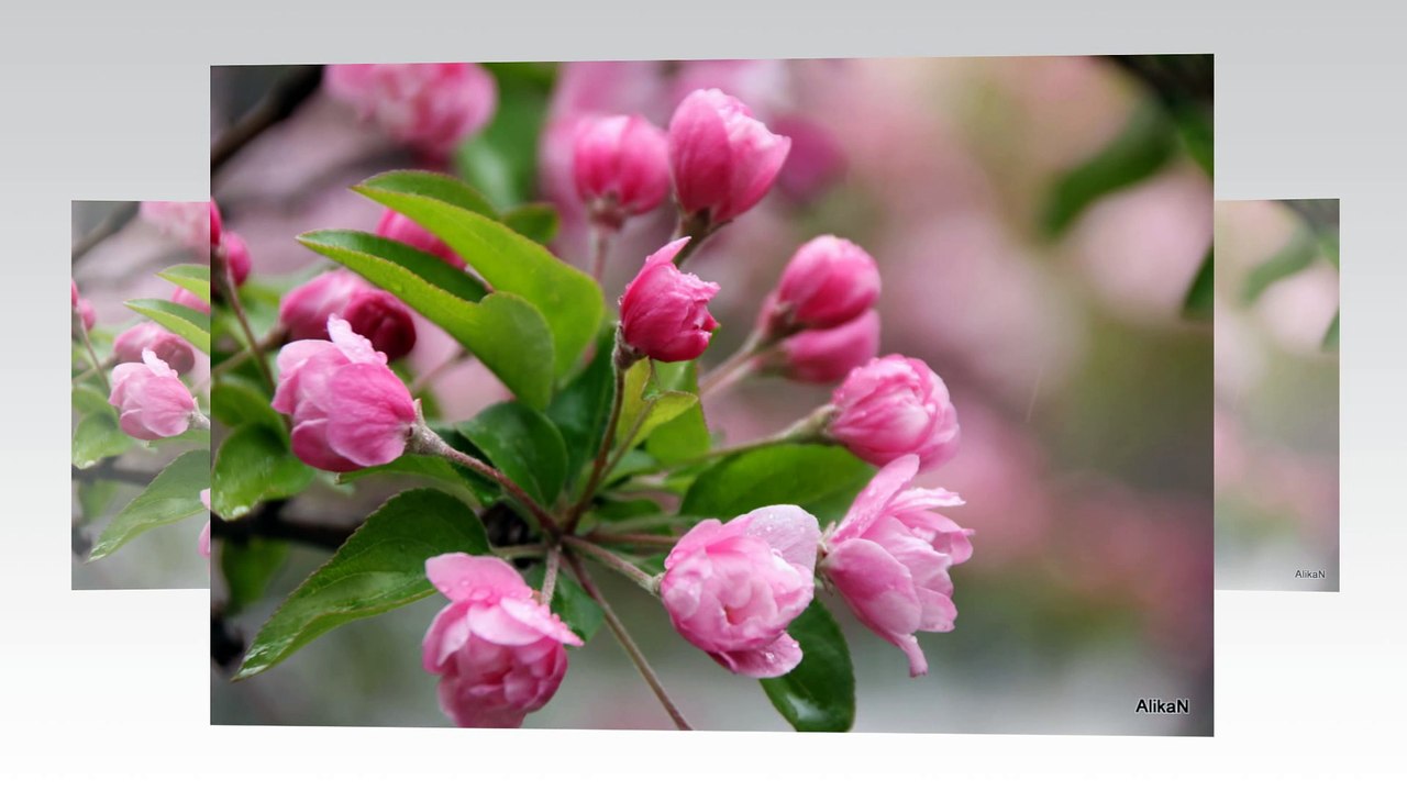 klasik müzik ve bahar