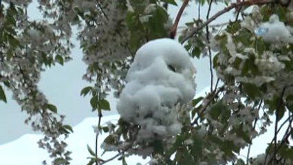 Eskişehir, 23 Nisan'ı Karlar Altında Kutladı