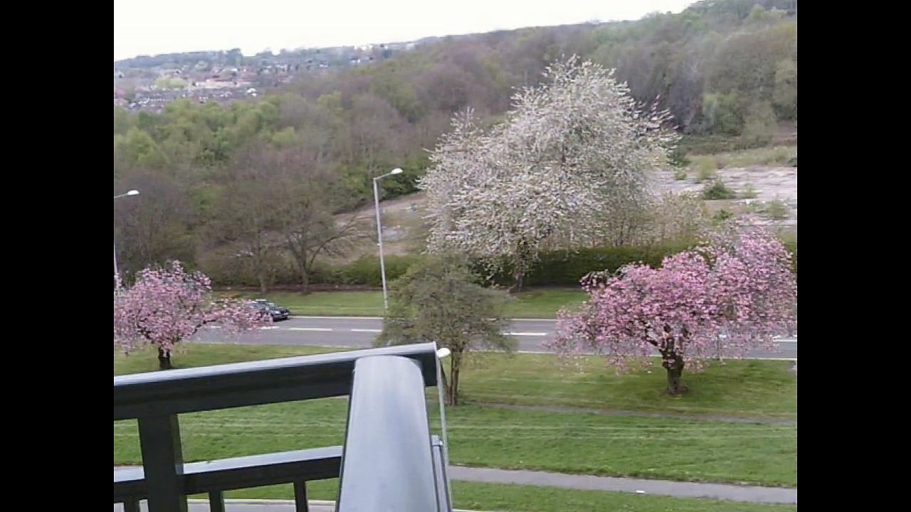 Out and about checking out the new flat