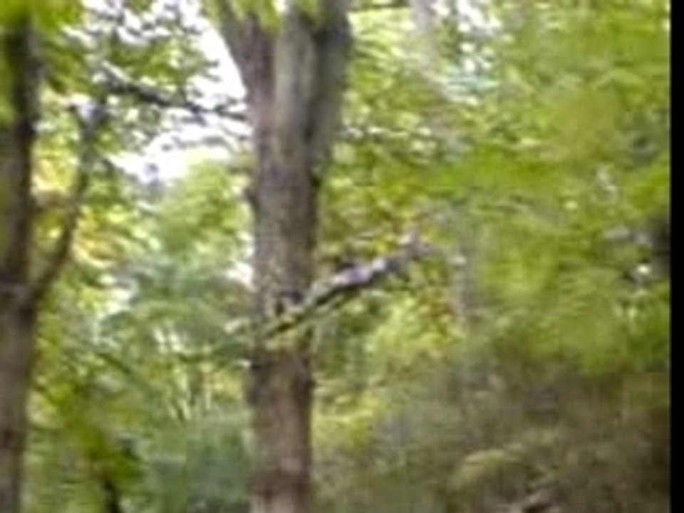 twister hawk