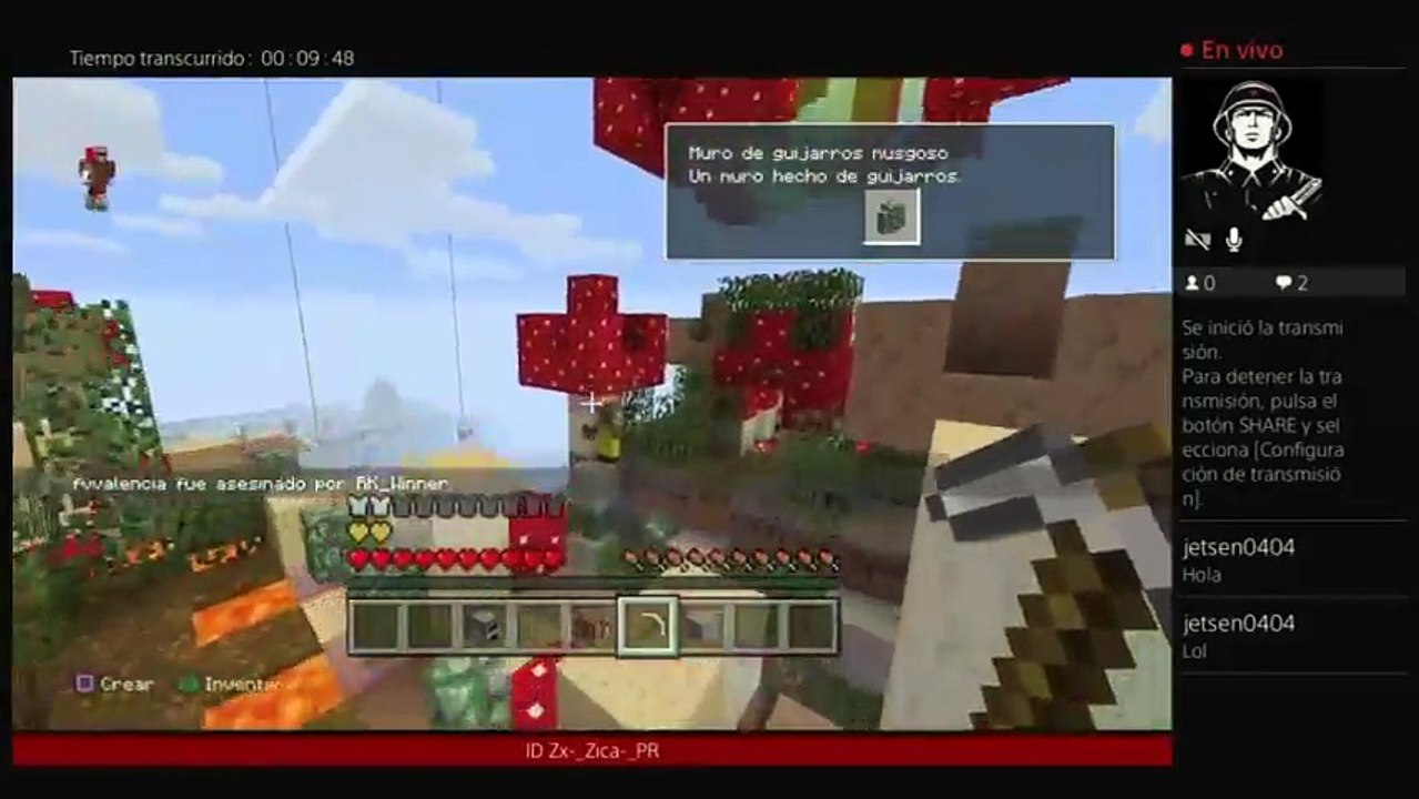 Minecraft (4)