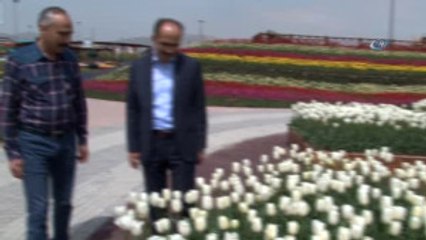 Tropikal Kelebek Bahçesine Ziyaretçi Akını