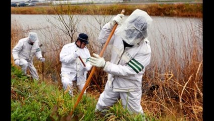 Rùng mình với giấc mơ lạ của người thân bé Nhật Linh trước ngày nghi phạm bị bắt