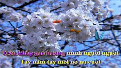 [Karaoke] XUÂN ĐẸP LÀM SAO - Thanh Sơn (Giọng Nam)