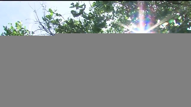 How to stay safe as temperatures near the triple digits