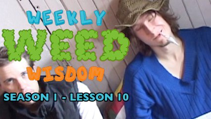 WEEKLY WEED WISDOM LESSON #10: How to Roll a Tulip