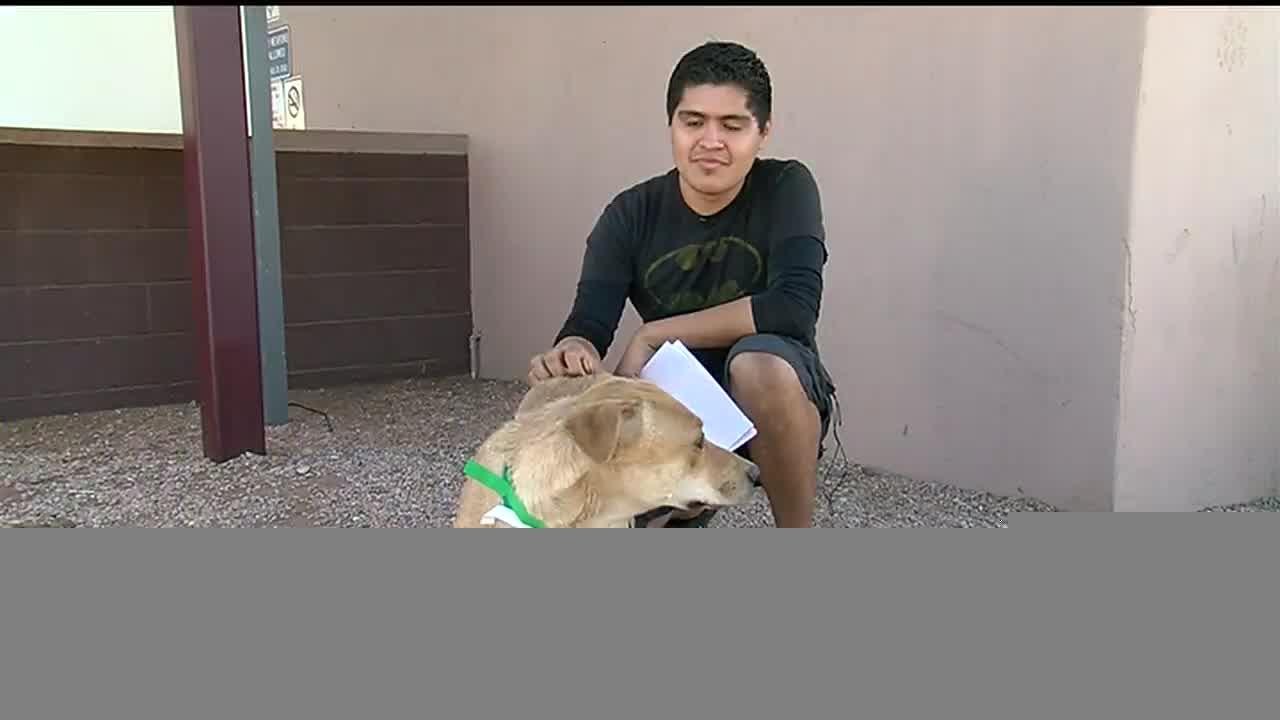 Hundreds of pets find furrrever homes after 2-d...