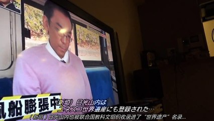 FAKE (2016) (DVD) (Director's Cut Edition) (2/3)