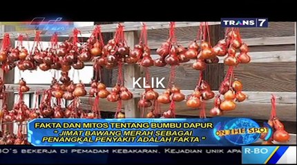 Fakta Dan Mitos Tentang Bumbu Dapur On The Spot