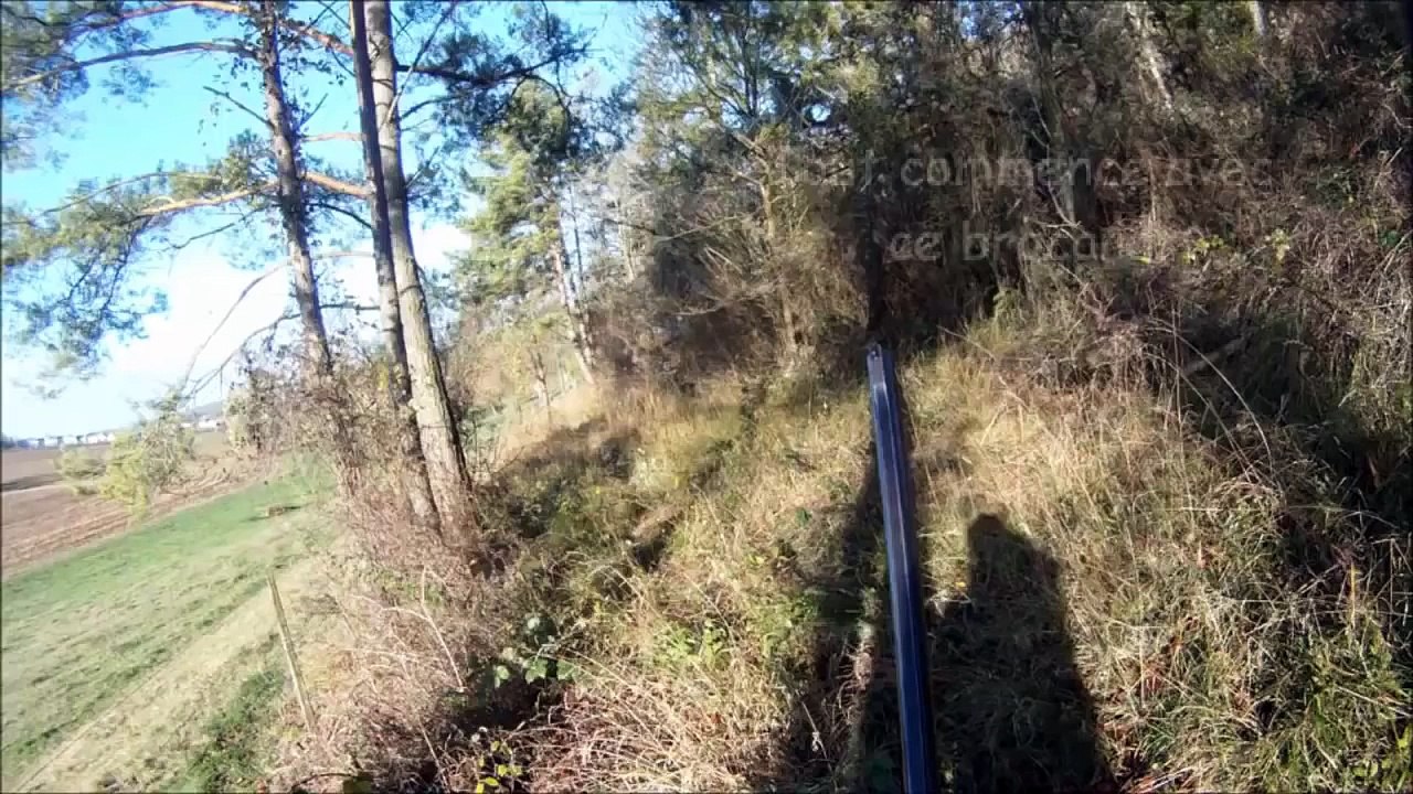 Chasse du sanglier en battue - Très Grand sanglier de 138kg