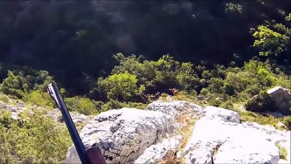 Chasse au sanglier en france - Big sanglier 100KG