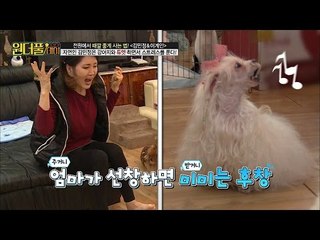 김민정, 스트레스 받을 땐 강아지와 듀엣을?! [스타쇼 원더풀데이] 11회 20161220