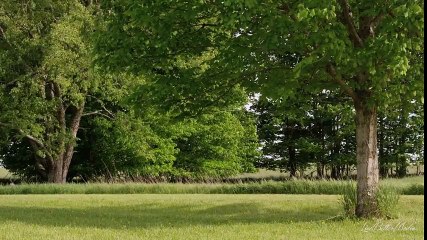 美しい自然音休息、睡眠、スパ、瞑想とケルト音楽をリラックス part 2/2