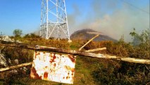 Ante la oleada de incendios que sufre Asturias ecologistas piden a los políticos rectificar la Ley de Montes