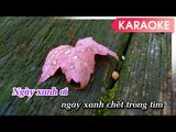 Lưu Bút Ngày Xanh - Karaoke Online [Beat Gốc]