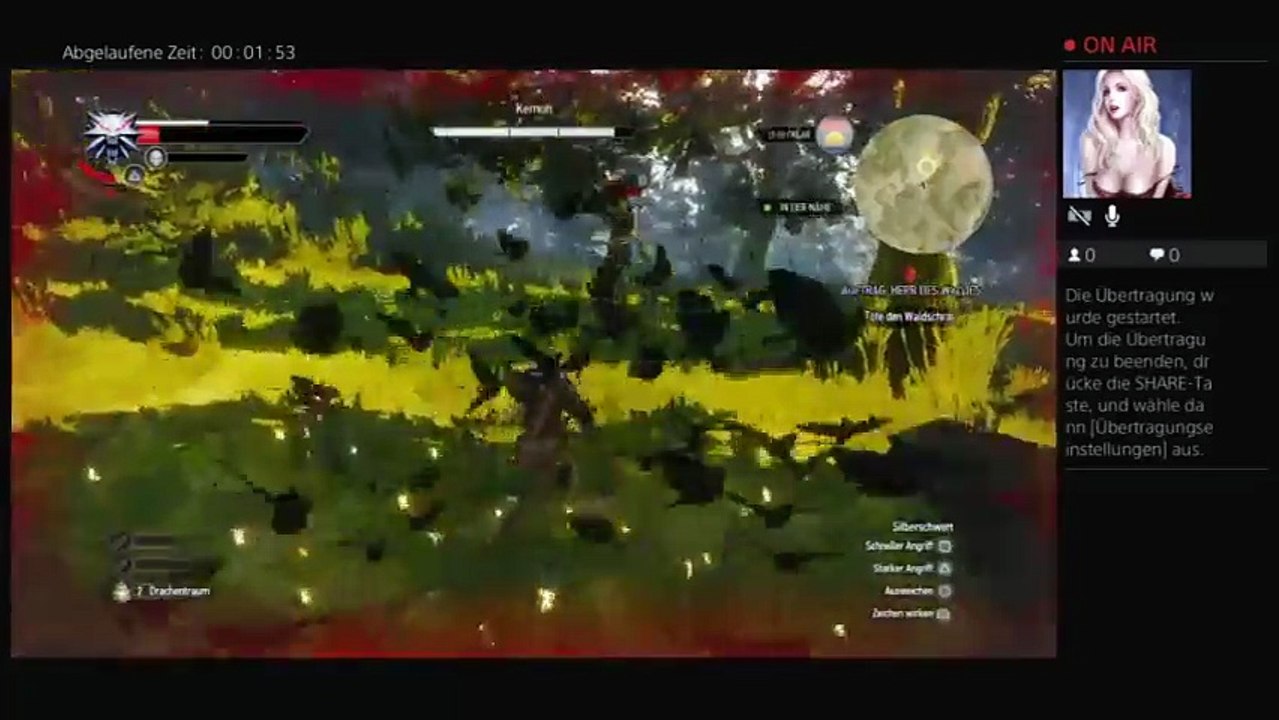 PS4-Live-Übertragung von fihgter321 (2)