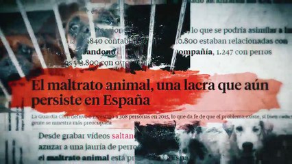 A Cara de Perro, con El Chatarrero Ep 4 Caballos en un basurero y guerra a los delfinarios