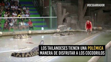 ¿Tienes dudas de la vanidad humana? Este video te hará reafirmar tu teoría