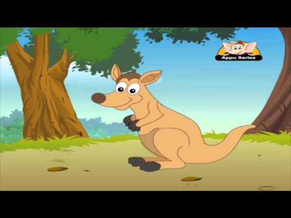 Animal Sounds in Gujarati - Kangaroo (HD) - video Dailymotion