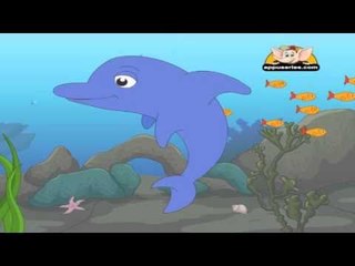 Animal Sounds in Gujarati - Dolphin