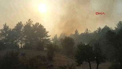 Muğla'da Orman Yangını