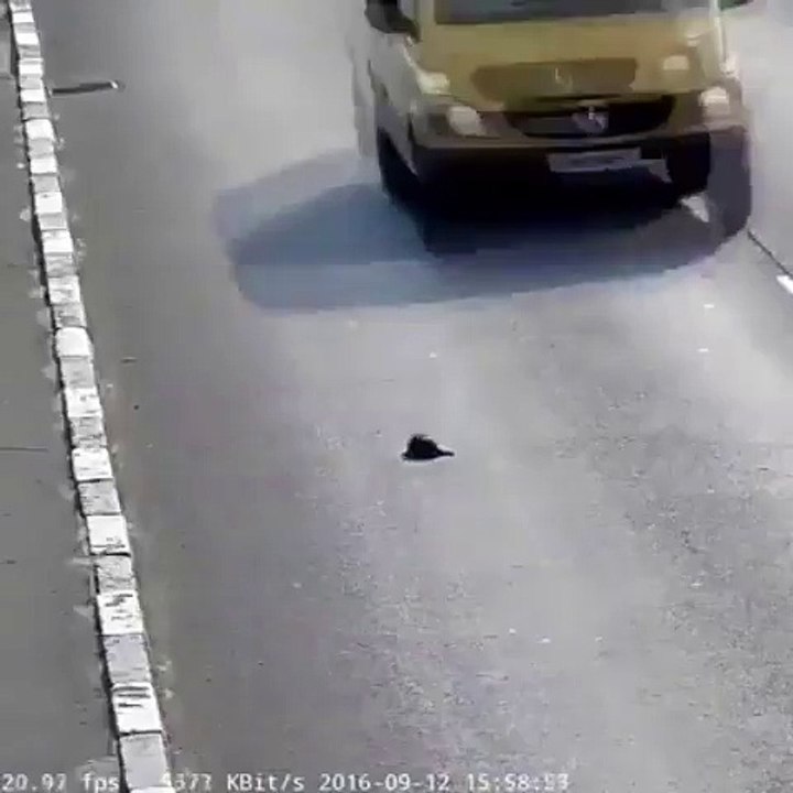Hala vicdanlı insanlarda var Mutlaka izleyin görün