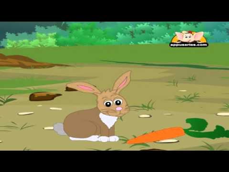 Animal Sounds in Telugu - Rabbit