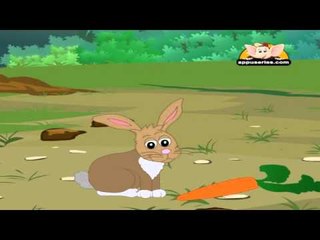 Animal Sounds in Telugu - Rabbit