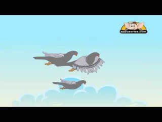 Animal Sounds in Telugu - Pigeon