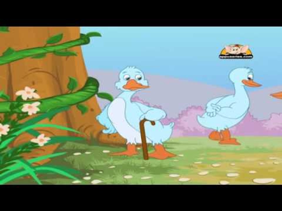 Panchatantra Tales in Telugu - The Wise Old Bird