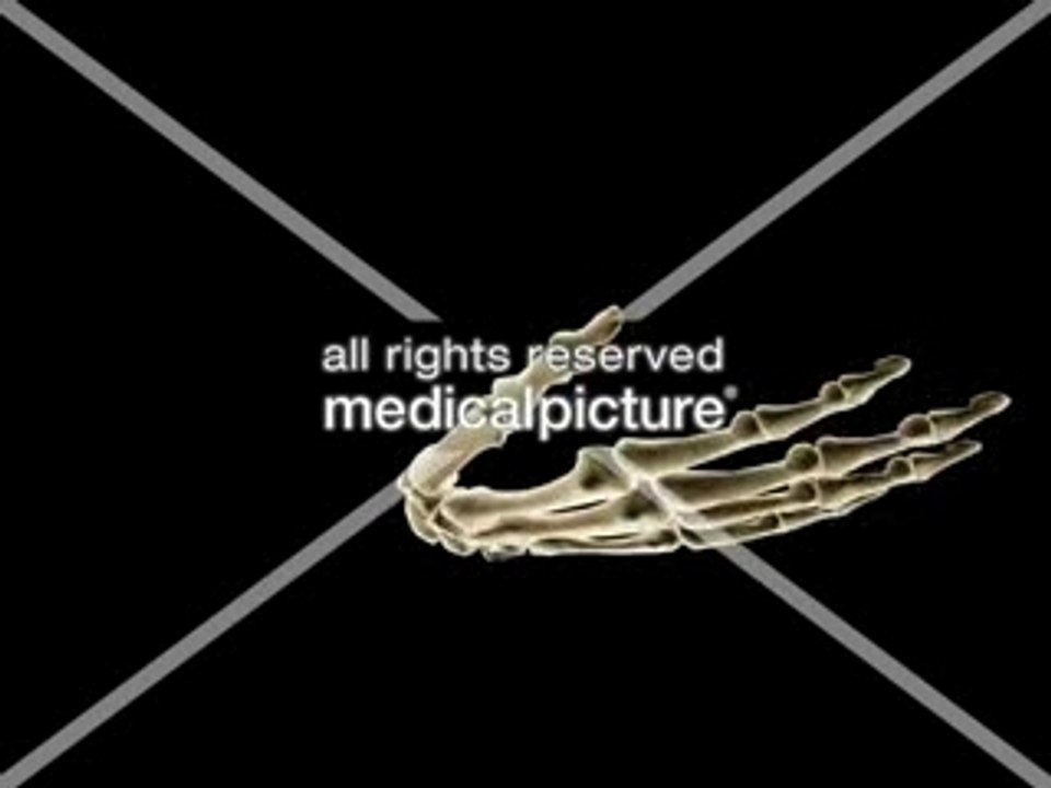Animationen by medicalpicture.de