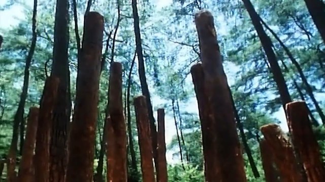 MARTIAL ARTS ACTION 'American Shaolin' _ Full Movie, Action, Kickboxing, Thriller, Fighting, Film HD , Tv Series FullHD