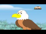 Animal Sounds in Telugu - Eagle