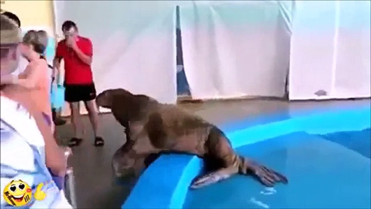 面白い映像〟 笑える海外のおバカさん達の映像