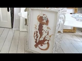 Singerie with Karen Nicol and Valerie Nesbitt (taster video)