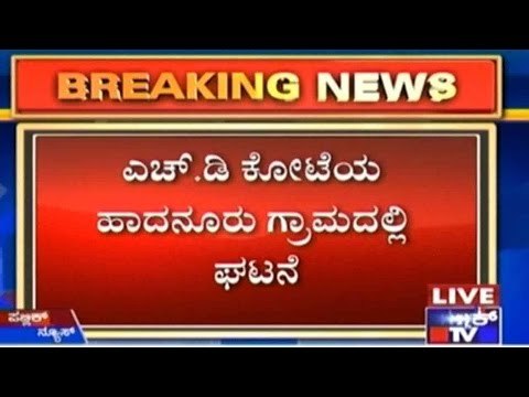 Mysuru: Cattle Herder Dragged Away By Tiger In Hadanuru