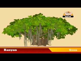 Learn about Plants in Kannada - Trees