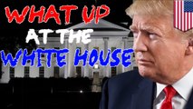 What Up at the White House recap: Trump on Putin high, Donald Jr. can’t escape Russia - TomoNews