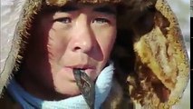 شاهد العقاب الذهبي وهو يصطاد ثعلباً في المنغول