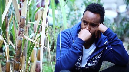 （ዘመን ）ZEMEN Part 62