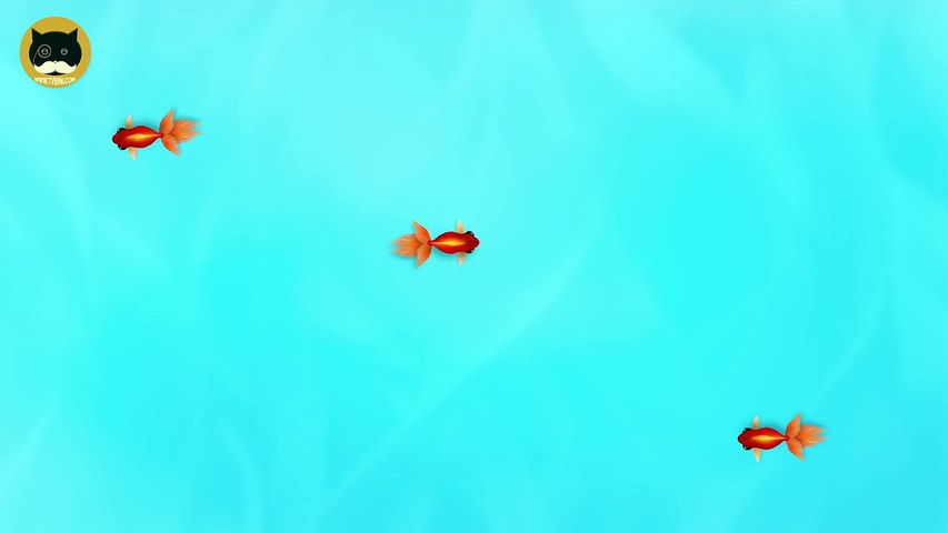 Chat Des Jeux Sur Ecran Contagieux Poisson Divertissement Video Pour Chats A Regarder Video Dailymotion