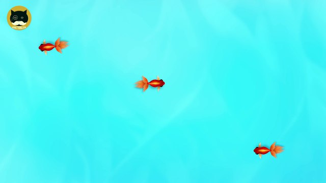 Chat des jeux sur écran contagieux poisson Divertissement vidéo pour chats à regarder