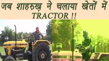 Shahrukh Khan DRIVES TRACTOR in the Fields of Punjab; Watch video | FilmiBeat