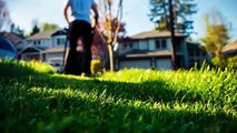 Create Healthy Lawns All Year With Pleasant Green Grass