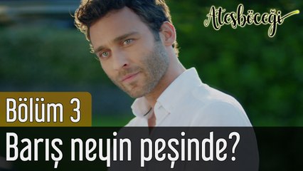 Ateşböceği 3. Bölüm Barış Neyin Peşinde?