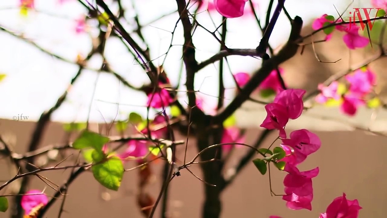 Nadhiya Stunning Photoshoot   JFW Cover Shoot   June 2017   JFW Magazine